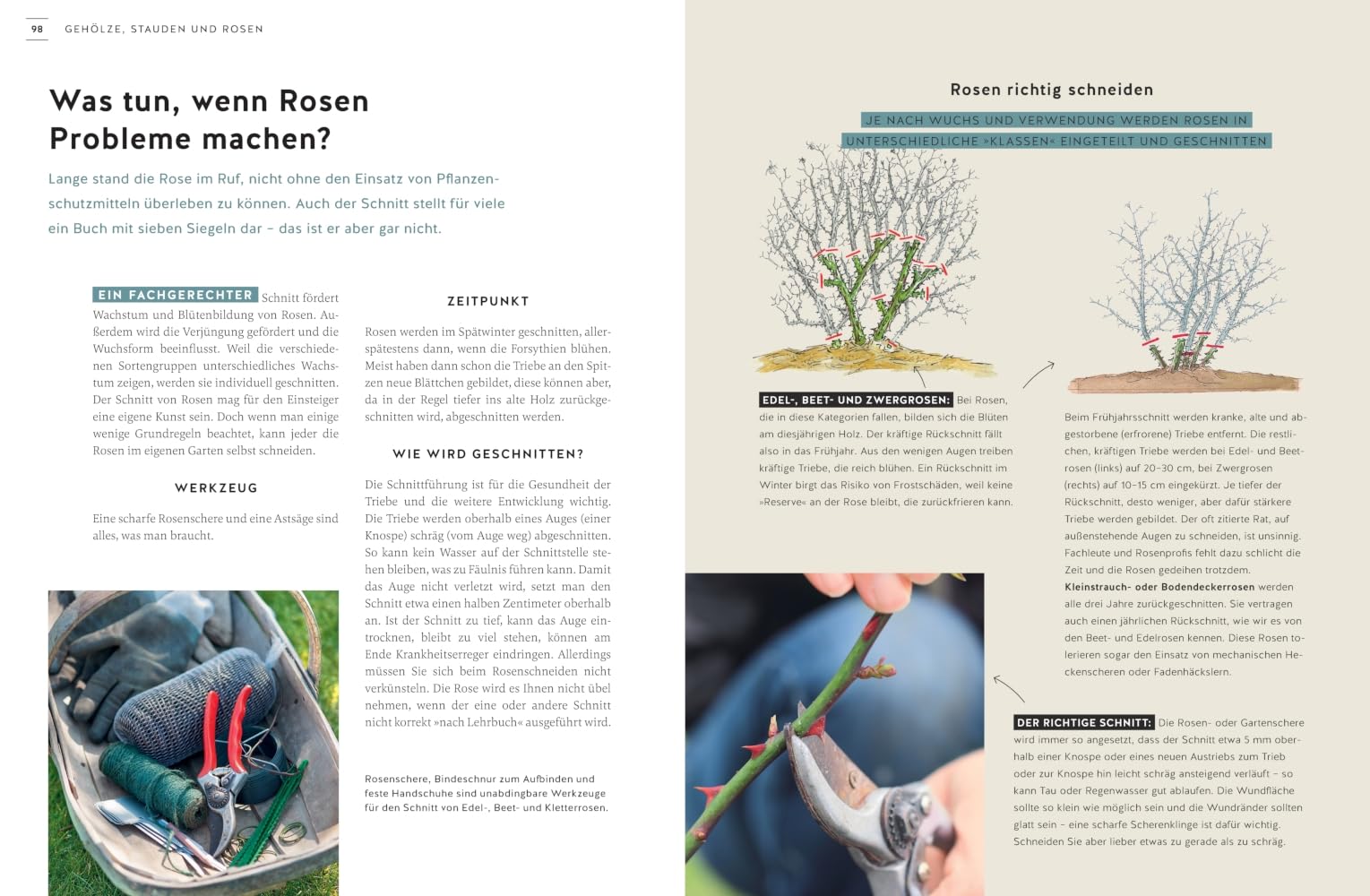 Gartenlust statt Gartenfrust: 99 Antworten auf die häufigsten Einsteiger-Probleme beim Gärtnern. (GU Gartenpraxis)