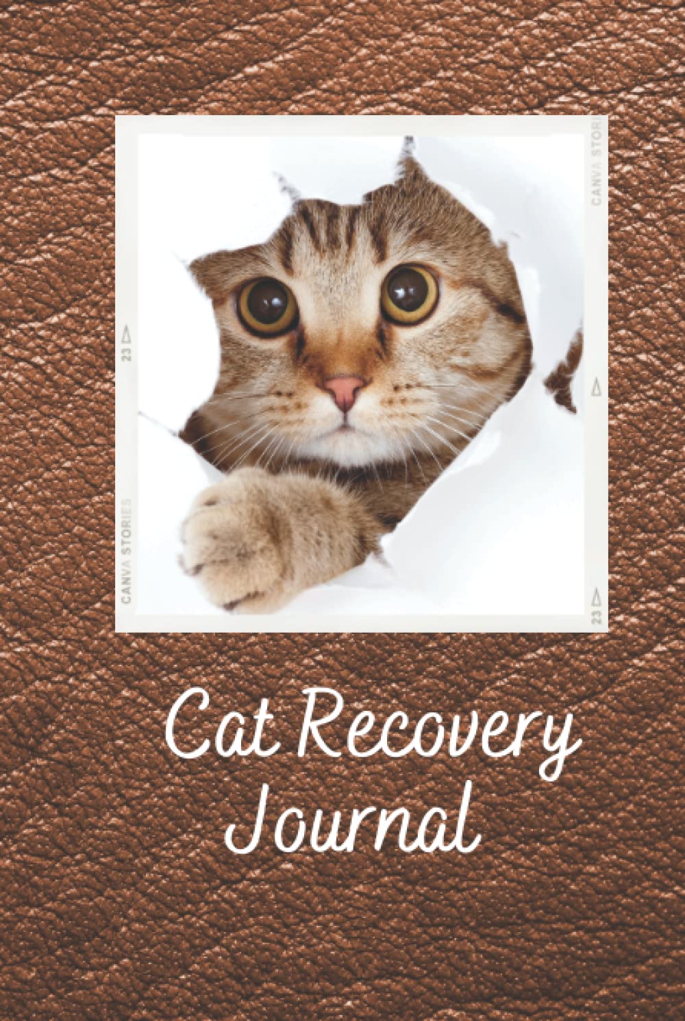 Cat Recovery Journal: Your 6” x 9” 120 Page Companion in Recording Your Pets Medical Treatment and Physical Journey of Healing and Recovering from Their Illness, Injury and Pain.
