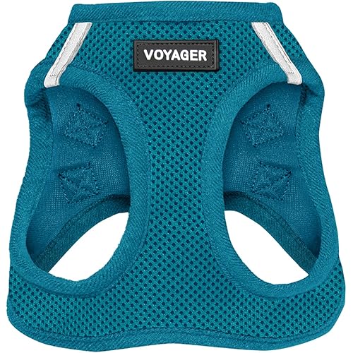 Best Pet Supplies Voyager Step-in Air Harness - All Weather Mesh, Reflective, No Pull Harness for Dogs, Cats - Secure with Hook & Loop Fastener, Buckle, Double D-Rings - Turquoise, XL