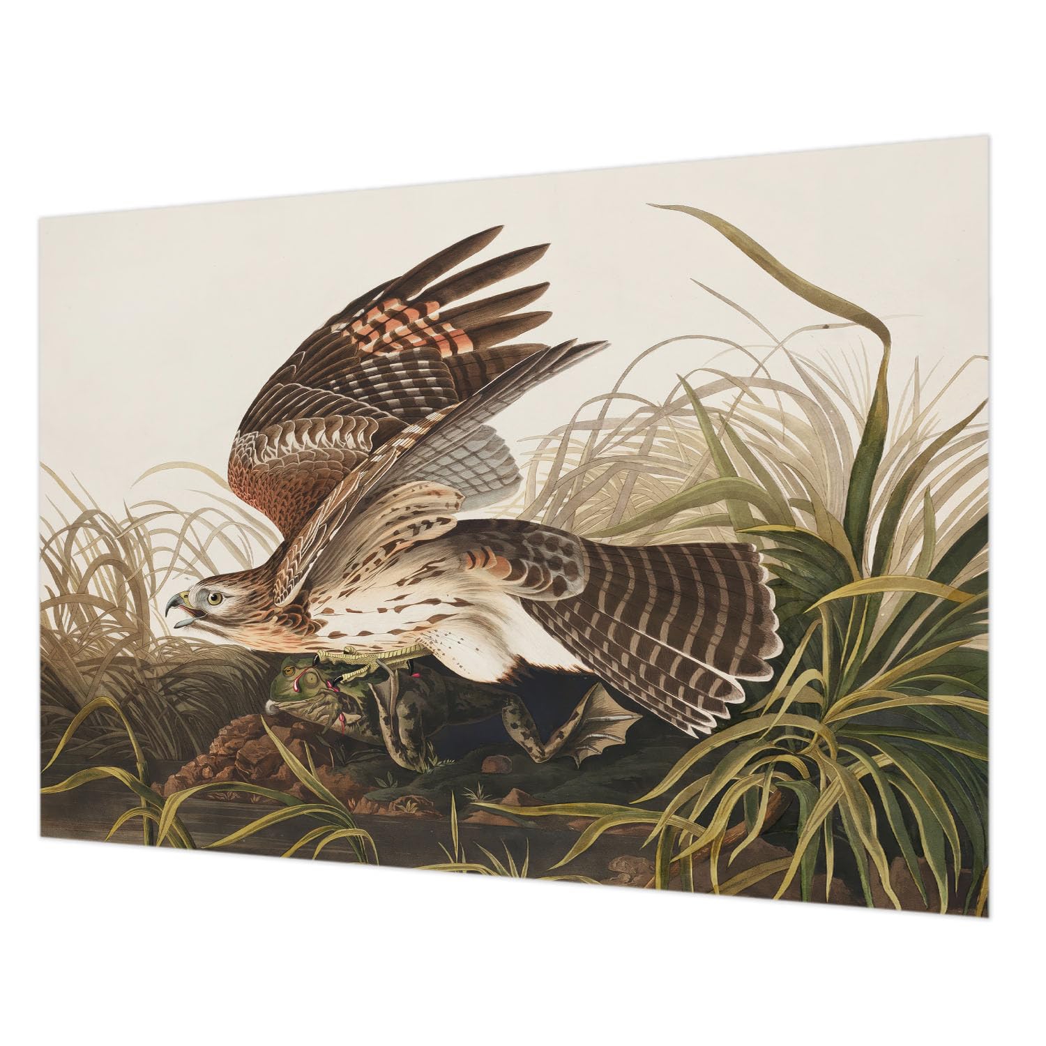 Papier peint intissé 208x146 cm avec colle incluse pour pose murale chambre et salon