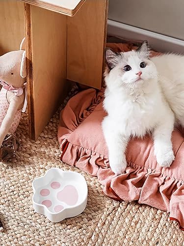 Miniatura 2 de LE TAUCI Cuenco de comida para gatos, 8 onzas, pequeño poco profundo para gatitos de interior, alivio de la fatiga, lindo diseño de patas, plato