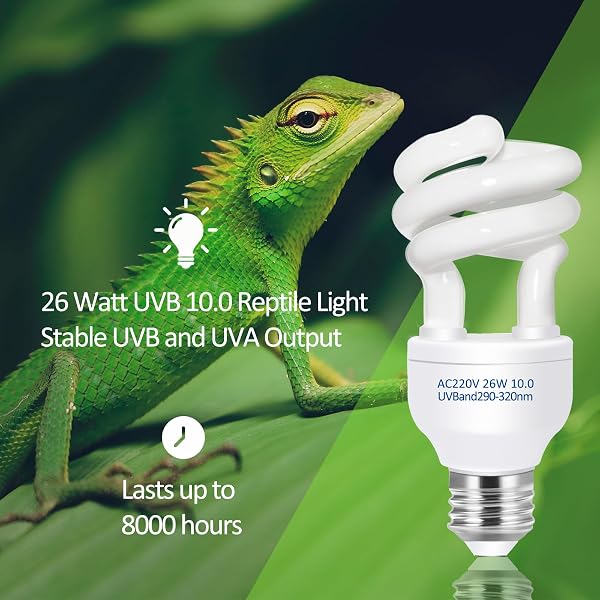 Bombilla UVB Reptiles 10.0 26W, E27 Lámpara UVA Tortuga, AC 220V Fluorescente Compacta para Reptiles del Desierto, Lagarto, Serpiente, Camaleón - 2