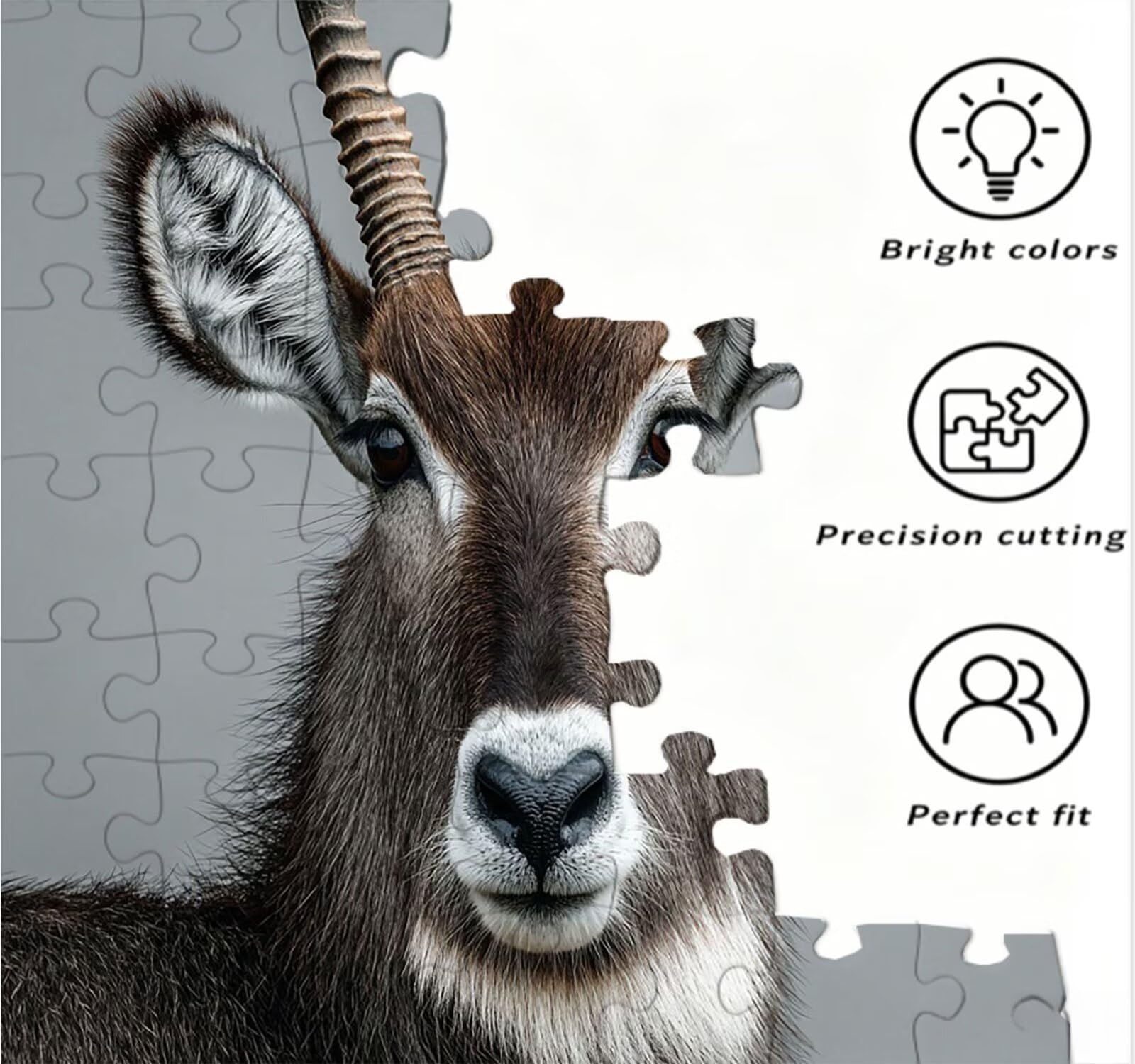 Antylopa, zwierzęta, puzzle 2000 elementów, puzzle dla dorosłych, dorosłych, nastolatków, do aktywności w domu, trudne gry rodzinne, klasyczne puzzle jako prezent i dekoracja ścienna R3KH-525