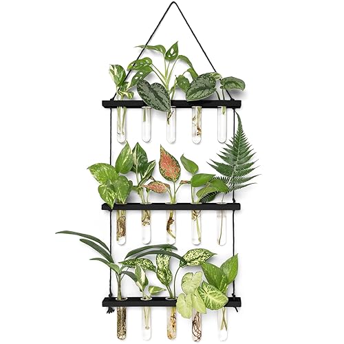 Mkono 3 Tiered Wall Hanging Plant Terrarium with Wooden Stand Mini Test Tube Flower Vase Glass Planter for Hydroponic Plant Cutting Home Garden Office Decor Gift - Medium - Black