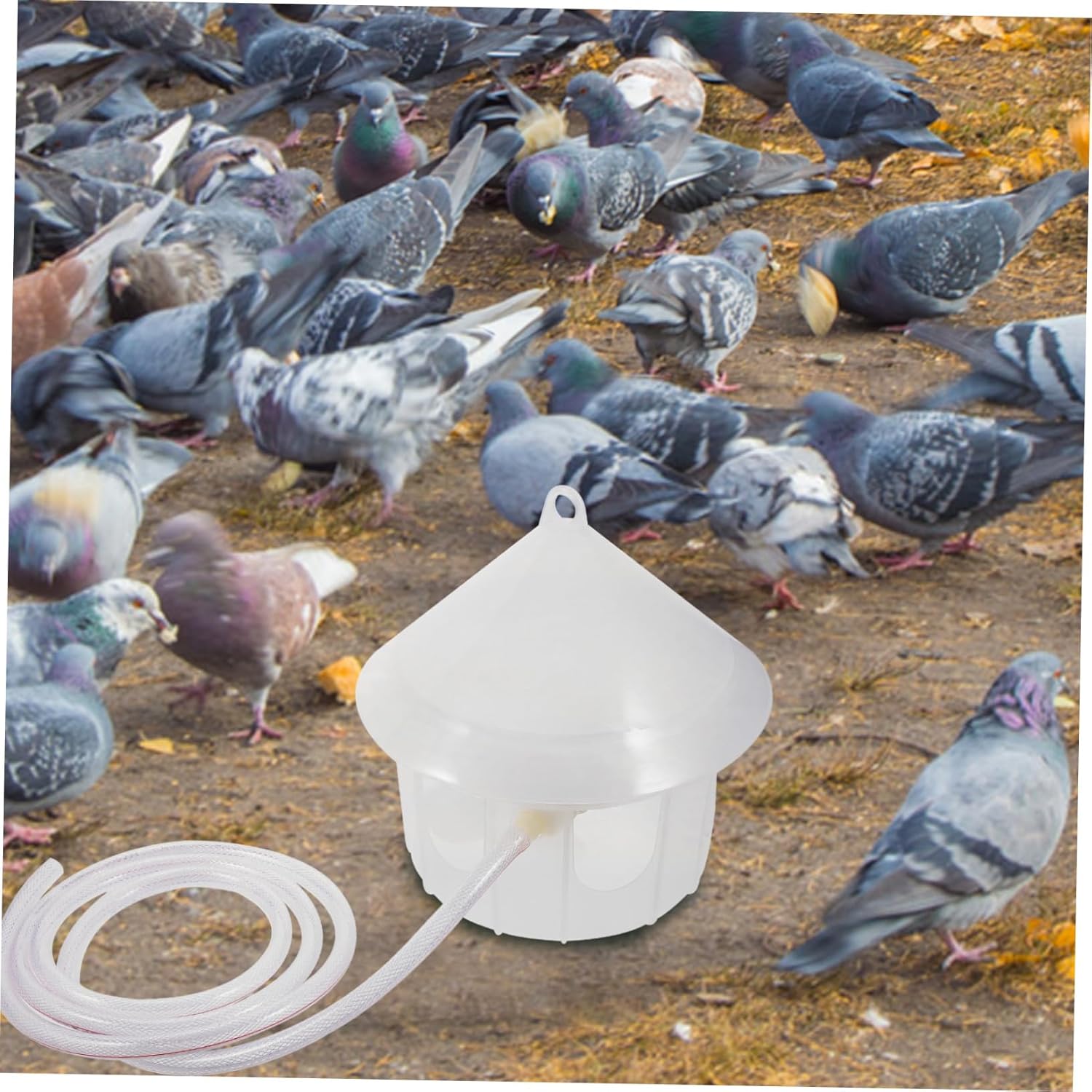 Pigeon Feeder Parrot Water Dispenser Bird Watering Device Plastic Bird Feeder