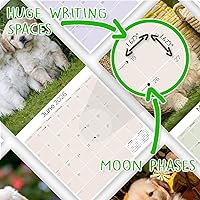 Vista 243 de Razas de Perros 2017