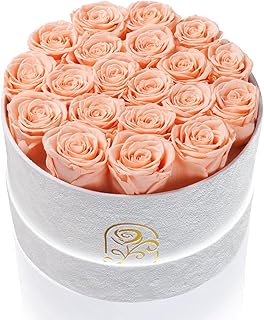 Gifts for Women Preserved Roses Flower Box, Luxury Velvet Box with 20 Roses, Preserved Flowers, Romantic Gift for Her, Wife, Girlfriend, Birthday Anniversary Christmas (Peach Pink)