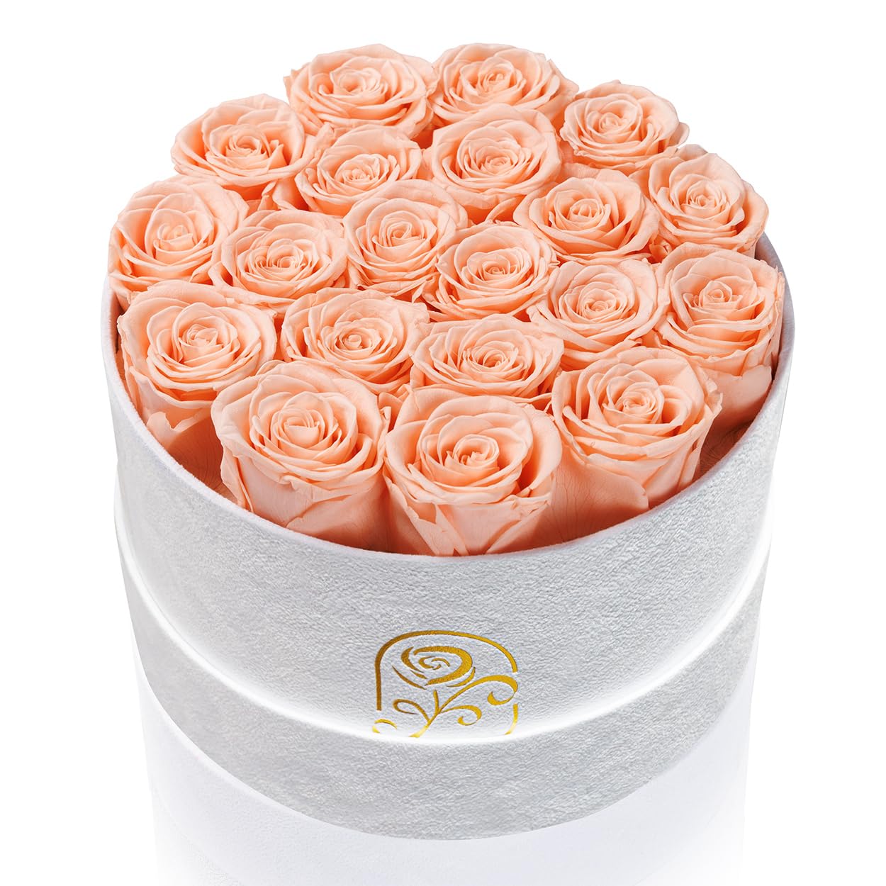 Rosemoir 20 Preserved Roses Velvet Box