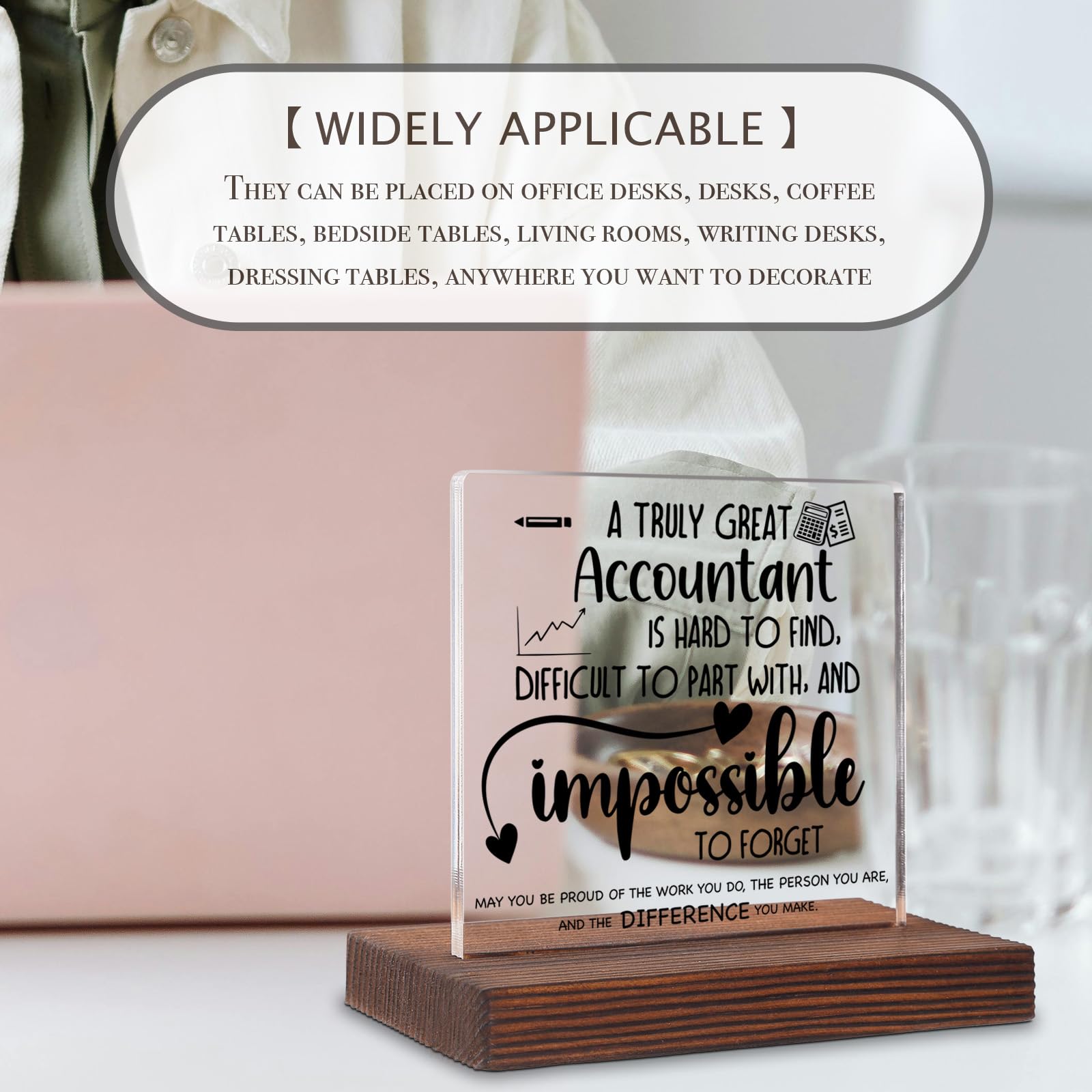 Accountant Gifts, Accountant Office Decor, Accountant Gifts for Women Men, Accountant Appreciation Thank You Gifts Accountant Gifts Tax Season Decorative Signs Plaques ABC80