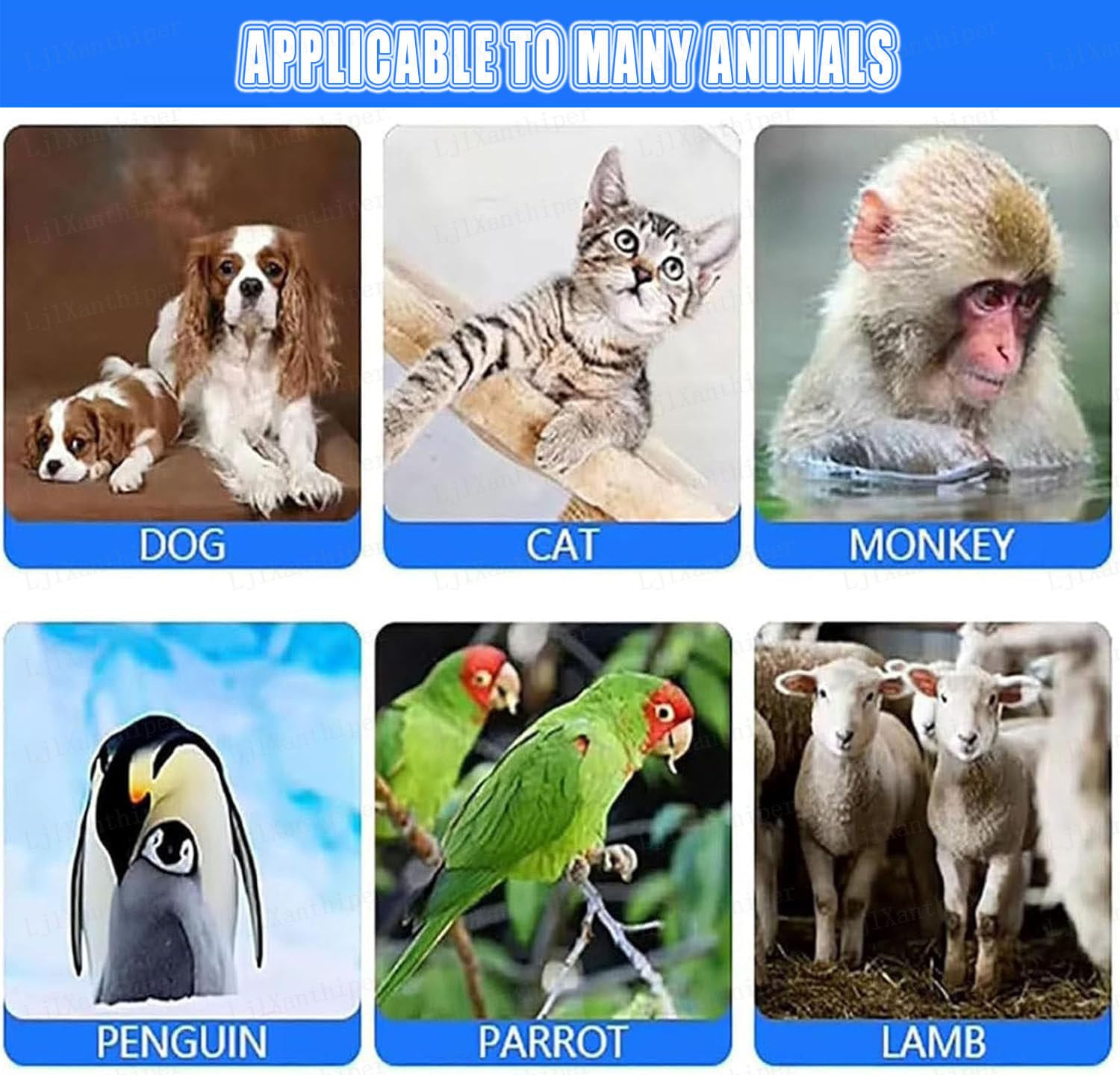 Identificatore per Marchi Auricolari,Lettore di Microchip per Animali Domestici,Memoria per 20,000 Dati,per Allevamenti,Rifugi Animali E Proprietari di Animali Domestici