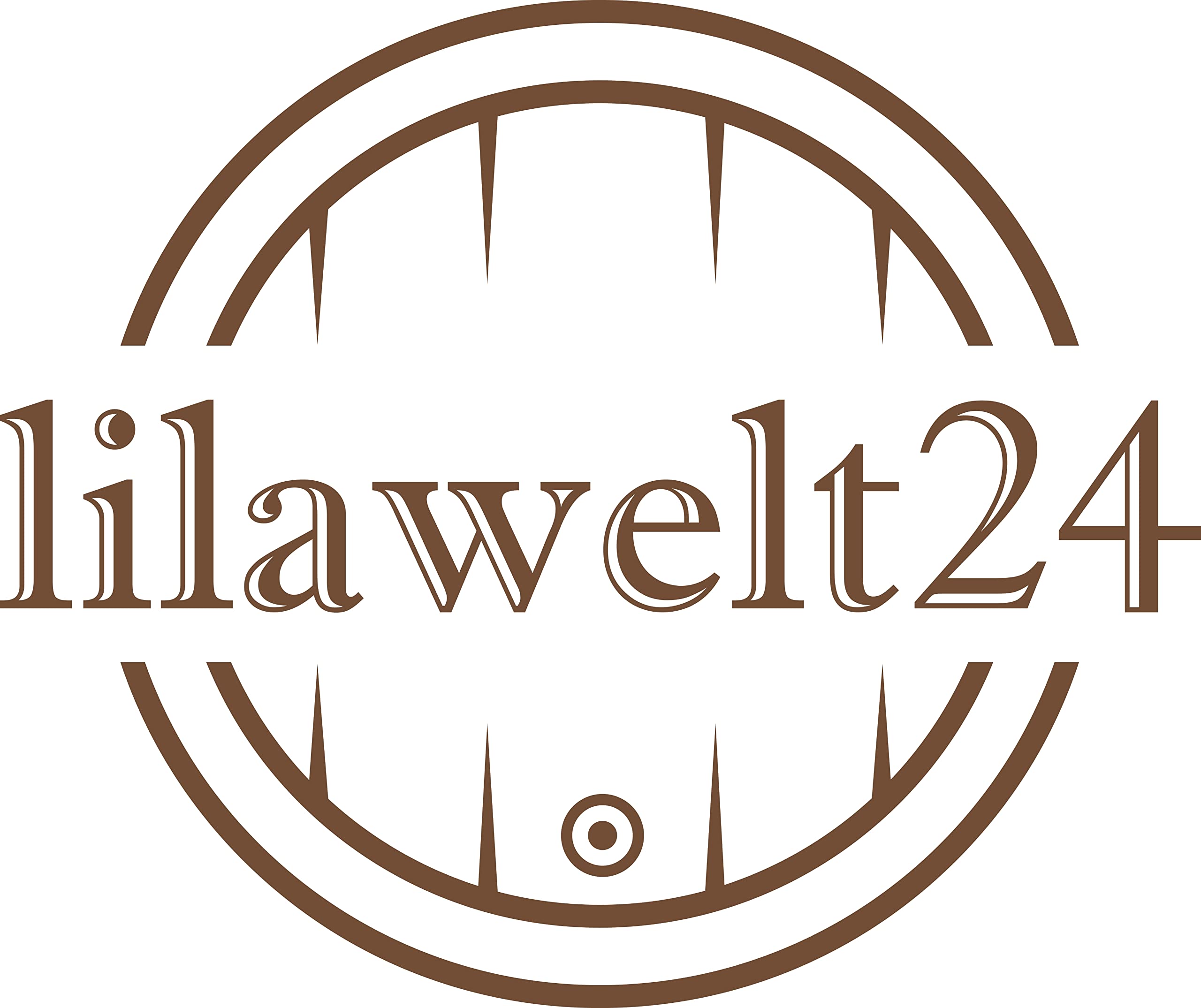 lilawelt24 6X 5L Flasche + Gummistopfen + Gärröhrchen Gärballon Set Weinballon Gärbehälter/brauen Wein Machen