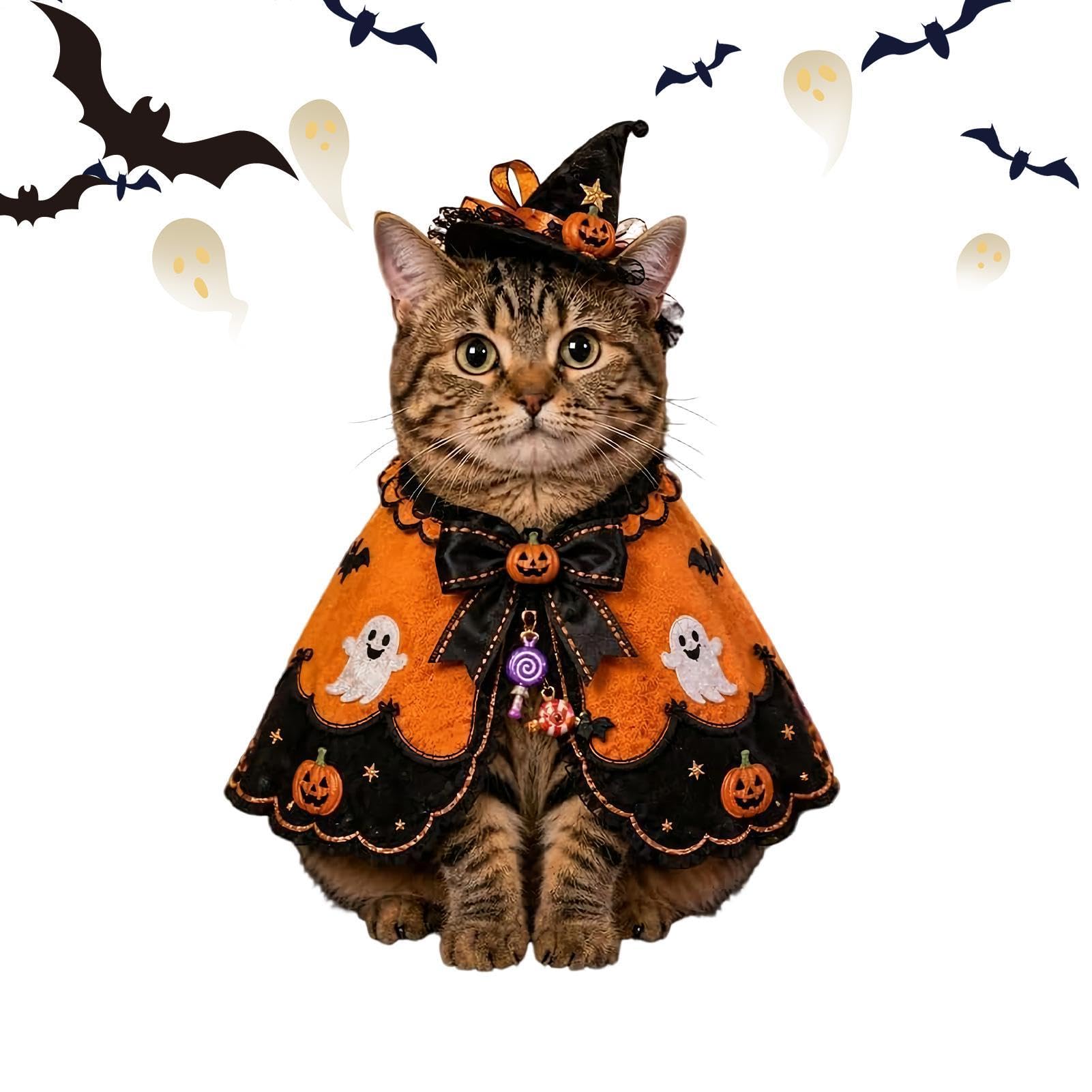 Capa de Halloween para gatos sin estrés en fotos de hogar