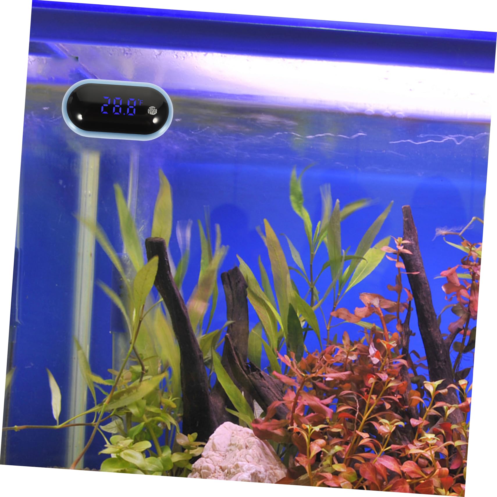 Sosoport 3stücke Professionelles Aquariumthermometer Mit Großem -display Tragbar Und Hochpräzise Für Aquarien Und Teiche Einfache Handhabung Energiesparend Und Langlebig