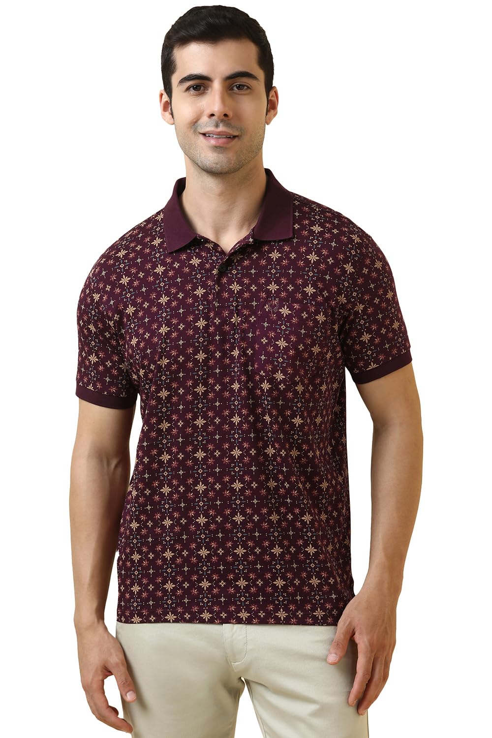 allen solly Men T-Shirt-picture-33