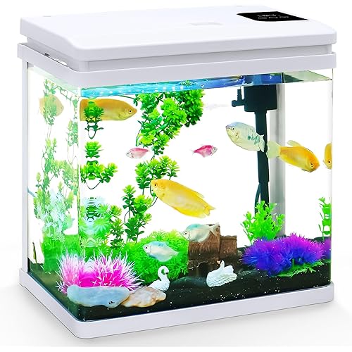 6 Gallon Fish Tank Kit with Auto On/Off Timer, 7-Color LED Light, Dimmable Brightness, Ultra Clear Glass & Effective Filtration – Great for Bettas
