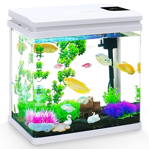 6 Gallon Fish Tank Kit with Auto On/Off Timer, 7-Color LED Light, Dimmable Brightness, Ultra Clear Glass & Effective Filtration – Great for Bettas