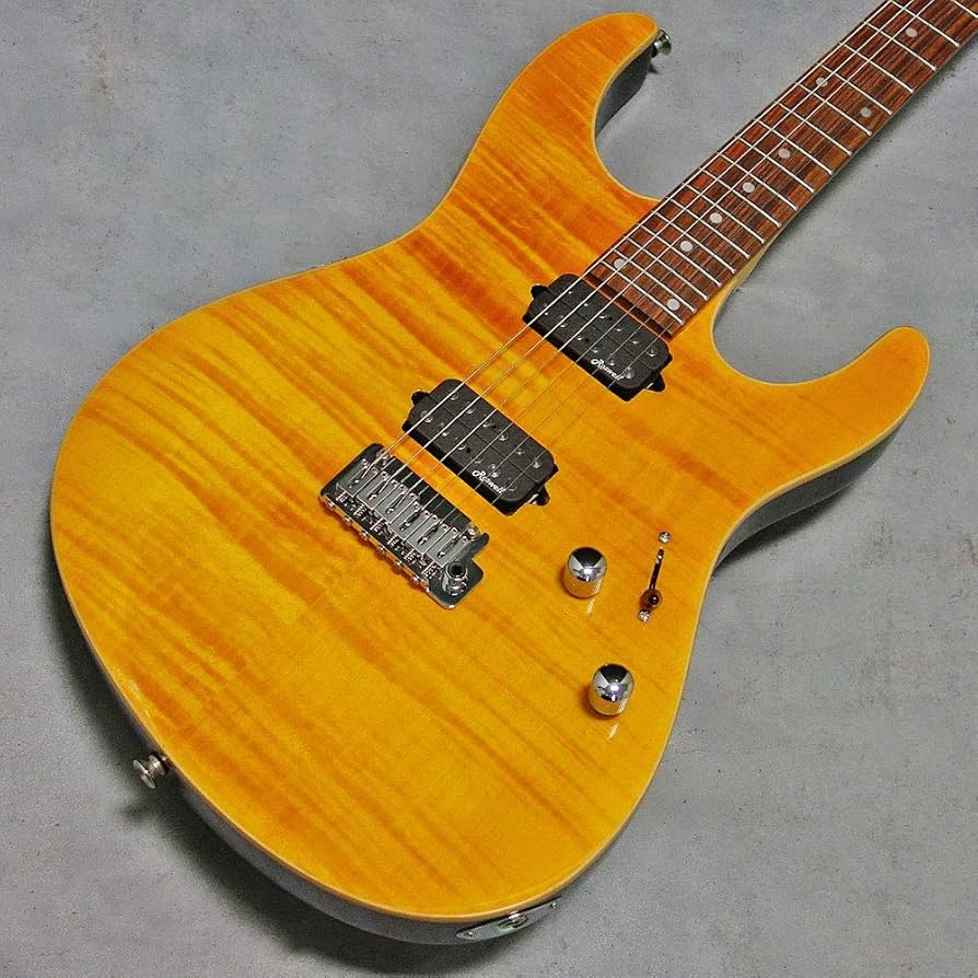 エレキギター vasilisk VAS-01 噂のVasilisk VAS-01をレビュー｜ギタリスト・かとうたかこの