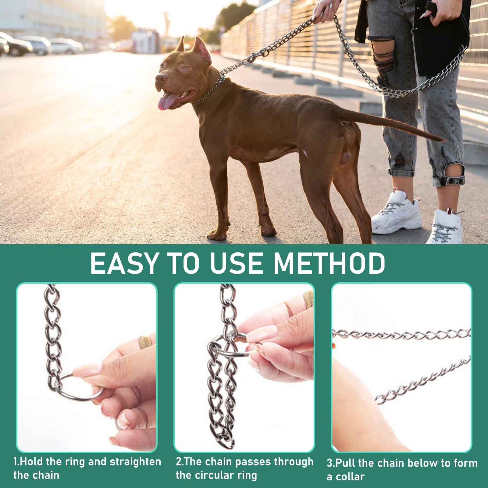 Dog Chain Collars 60cm, Silver - Image 4