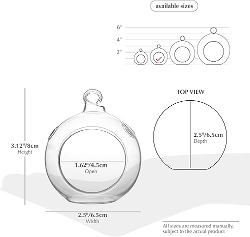 Miniatura 9 de WGV Globo de terrario colgante, ancho 5 pulgadas, altura 6 pulgadas, maceta de aire para suculentas, florero de vidrio transparente con parte