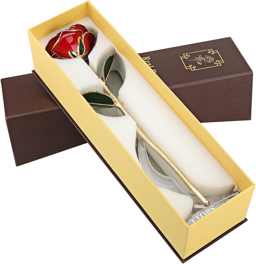 Dipped 24K Gold Rose with Gift Box is Good Gift on Valentine's Day Mother's Day Lover's Birthday Anniversary (Red)