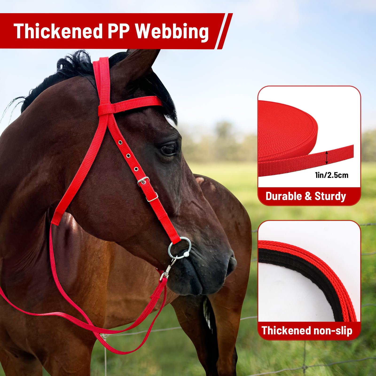 Bride Sans Mors Cuir Cristal Techify Pour Cheval De Dressage – Personnalisable