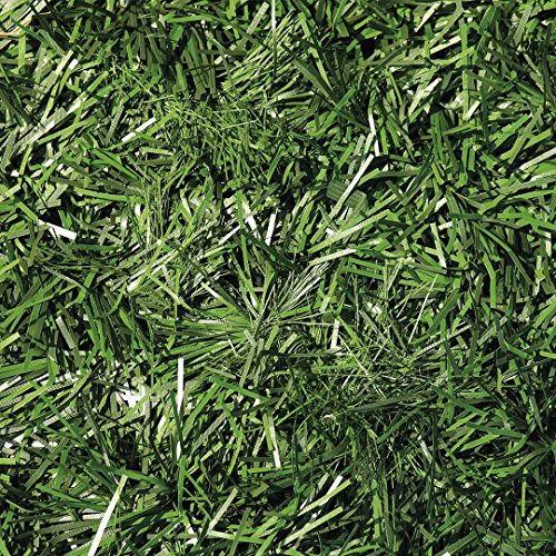 Catral 43020007 Seto Artificial Excel, Verde, 300 x 3 x 100 cm