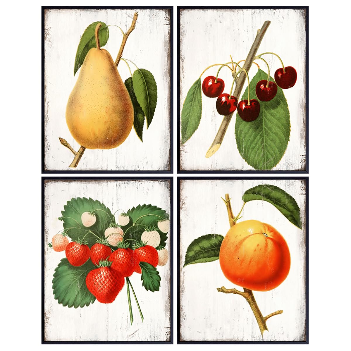 Fruit Wall Art - Fruit Decor - Decorations - Botanical Prints - Rustic Kitchen Decor - Dining Room Artwork - Cafe Wall Art - Restaurant Picture -
