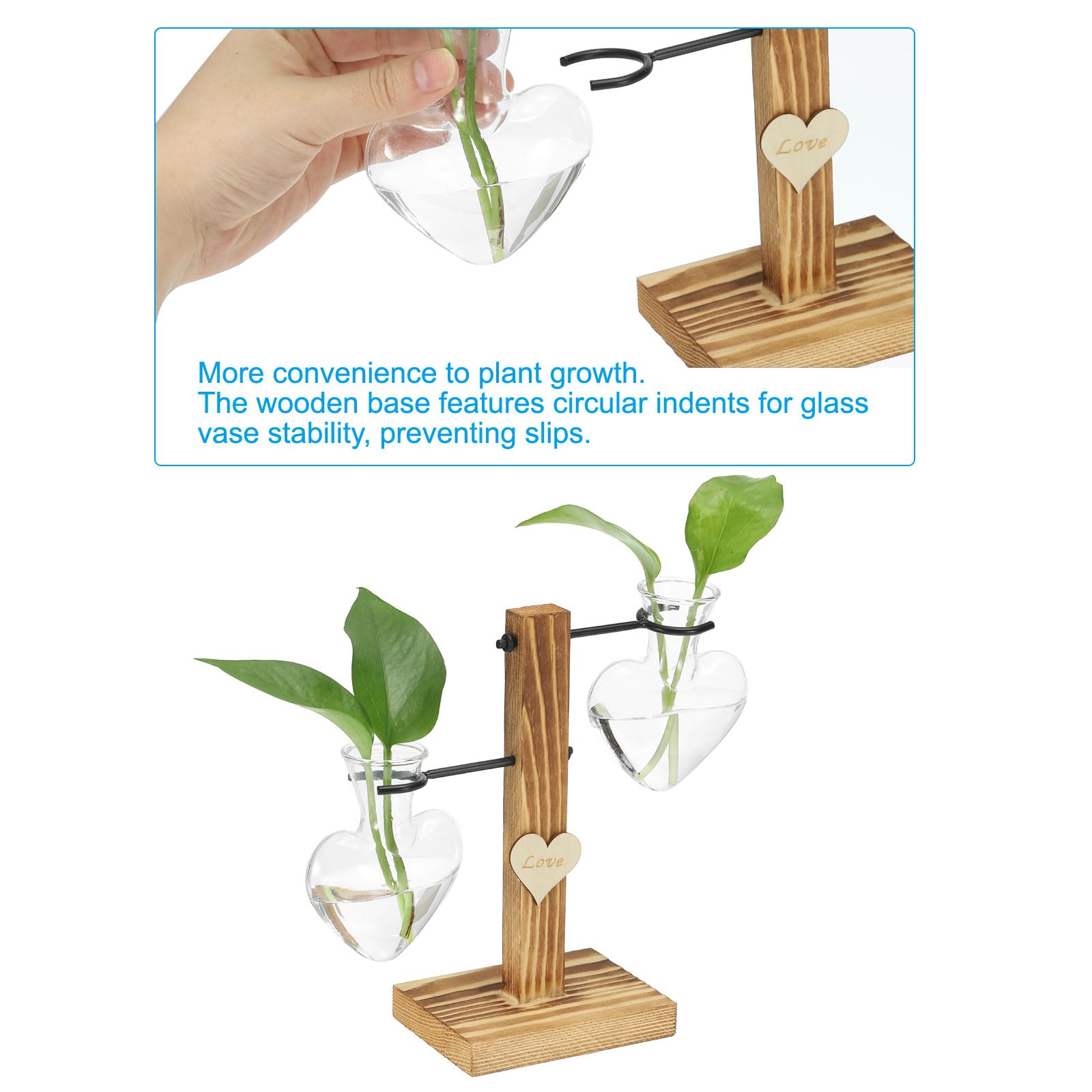 PATIKIL Retro Desktop Plant Terrarium 7.5x7.9inch - Image 4