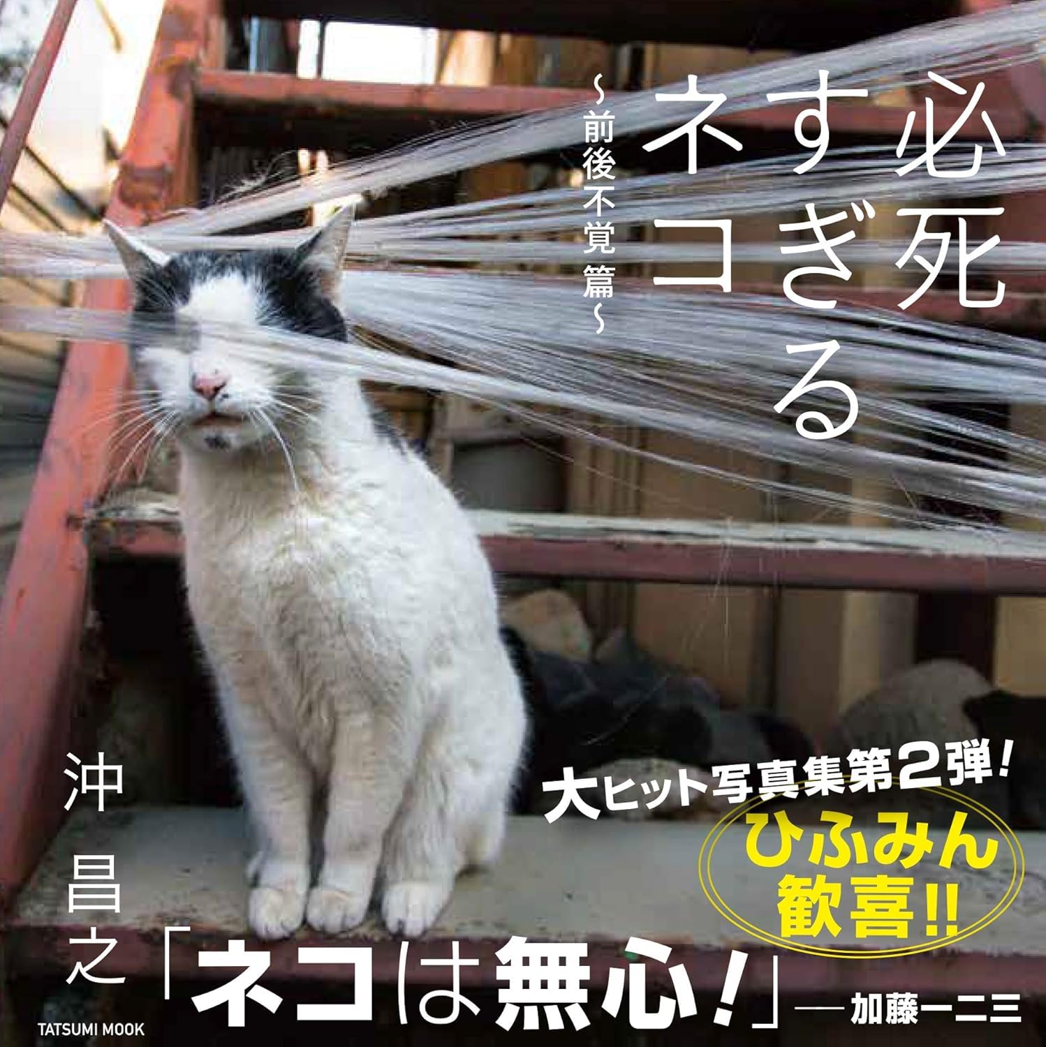 必死すぎるネコ ~前後不覚 篇 (タツミムック) | 沖 昌之 |本 | 通販