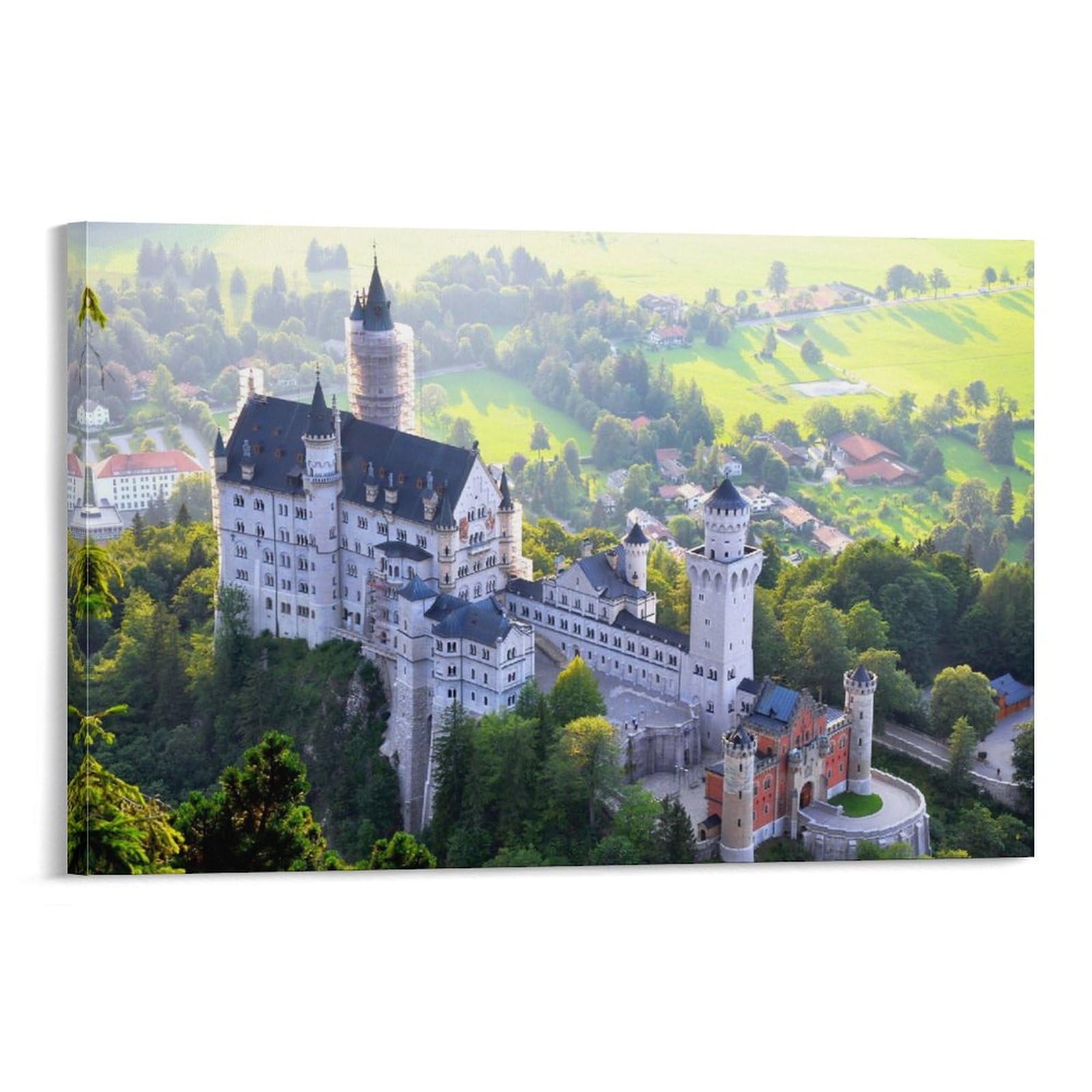 Amazon.co.jp: ノイシュヴァンシュタイン城 風景 山の眺め 風景画