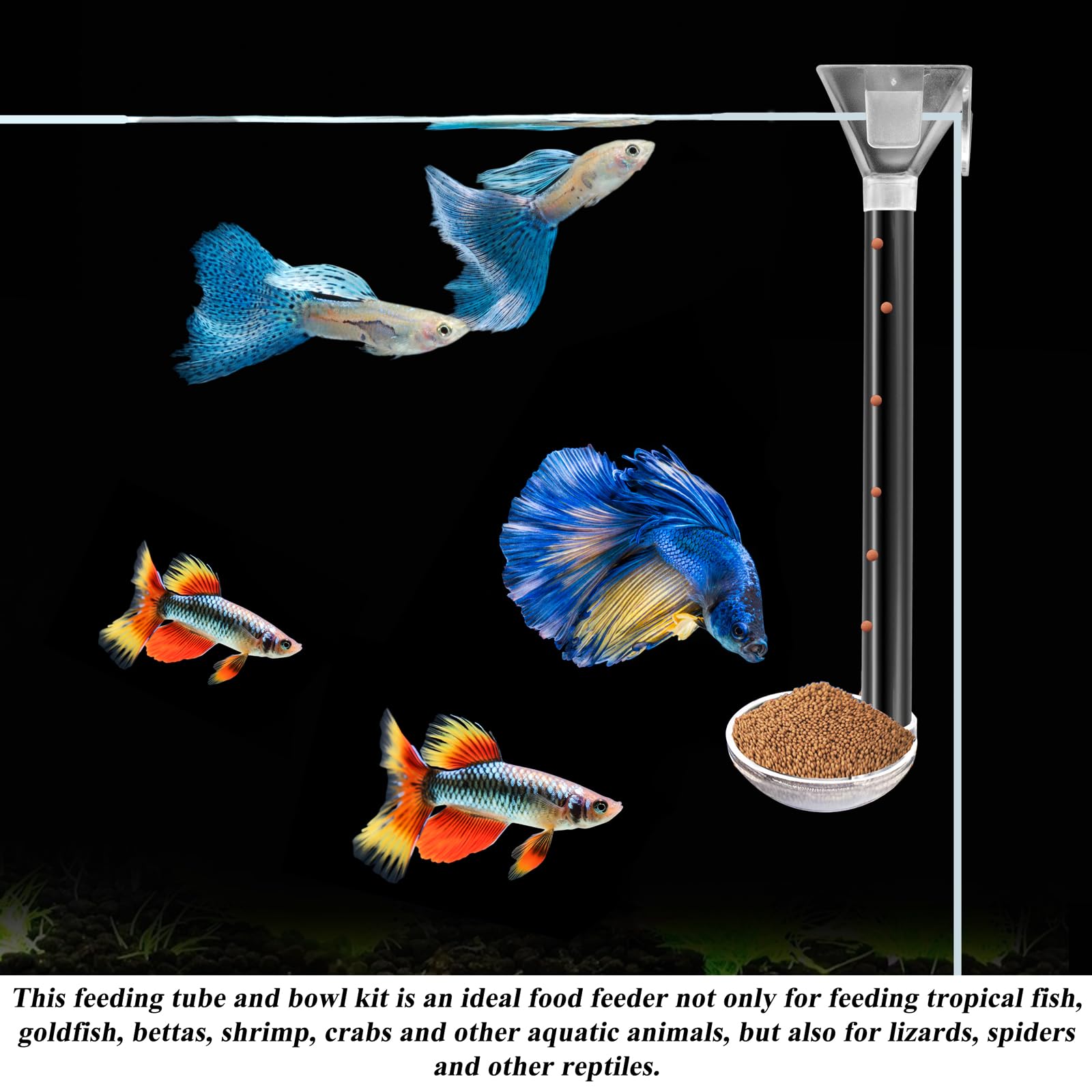 Aquarium Fisch Garnelen Futternapf Set, Garnelen Futternapf Set, Transparent Shrimp Feeding Adjustable Tube with Feeding Ring, Cleaning Brush for Fish Tank and Preventing Food Scattering (Small)