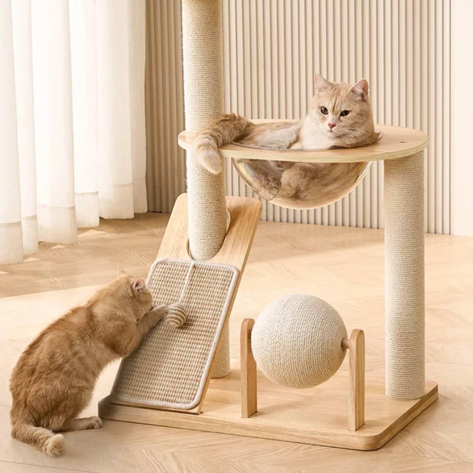 KESOTO Struttura per Arrampicata per Gatti Tiragraffi Centro Gioco Cuccia Amaca in Legno con Tavoletta Graffiante E Palla, Semplice Con Tiragraffi In Sisal E Palla Giocattolo