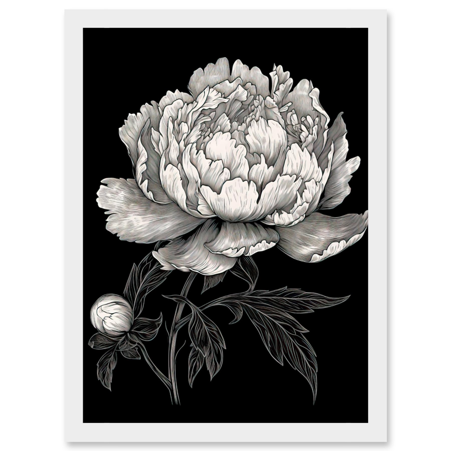 Artery8 A Peony Flower Bloom Black and White Blind Contour Artwork Framed Wall Art Print A4