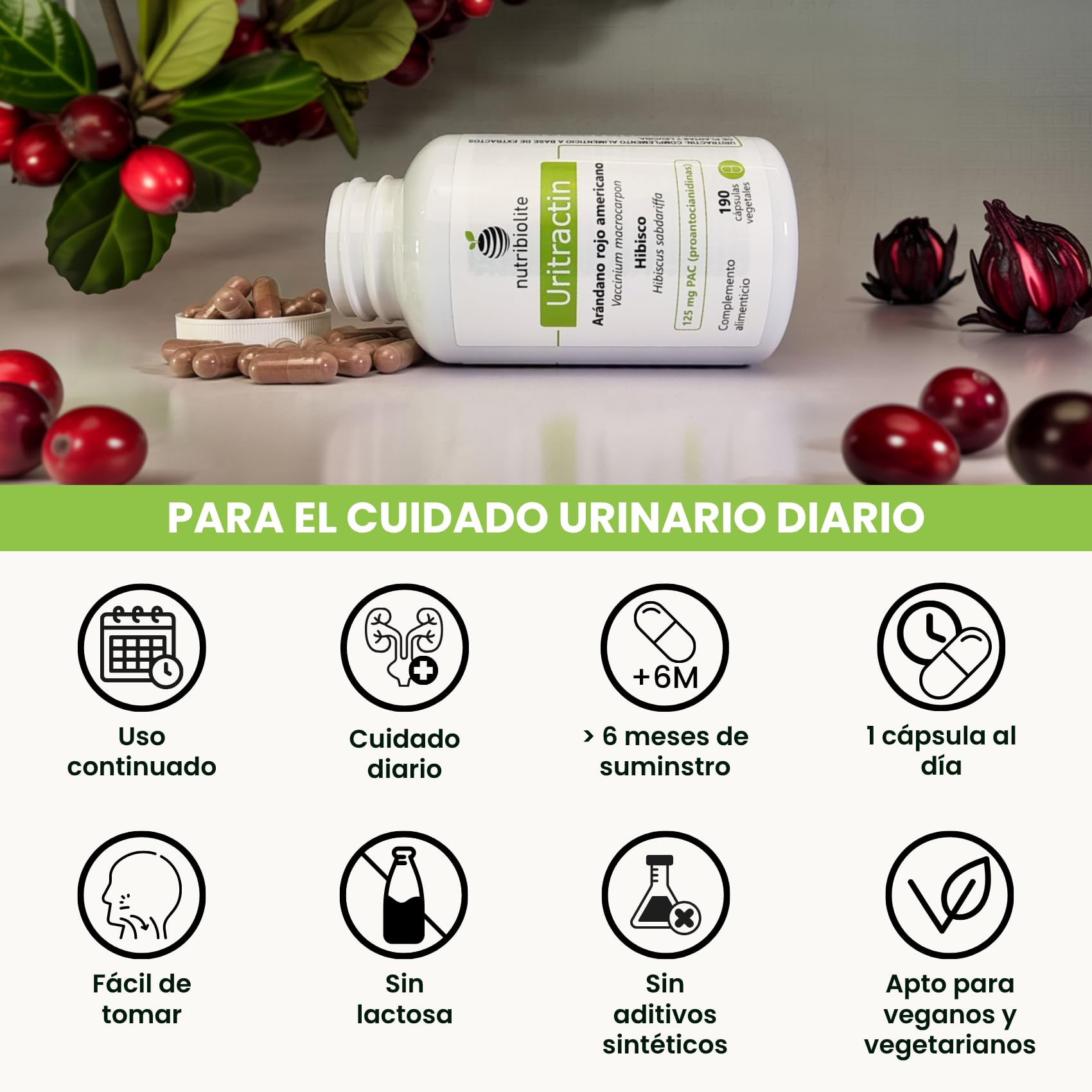 Arándano Rojo Americano Cranberry con Hibisco 125 mg de PAC Proantocianidinas - Tracto Urinario - 190 Cápsulas - Sin Aditivos +6 Meses | Uritractin Nutribiolite