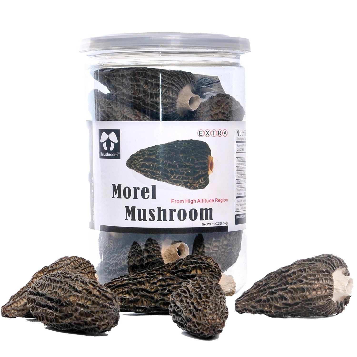 iMushroom Dried Black Morels Mushrooms Popcan Packed High