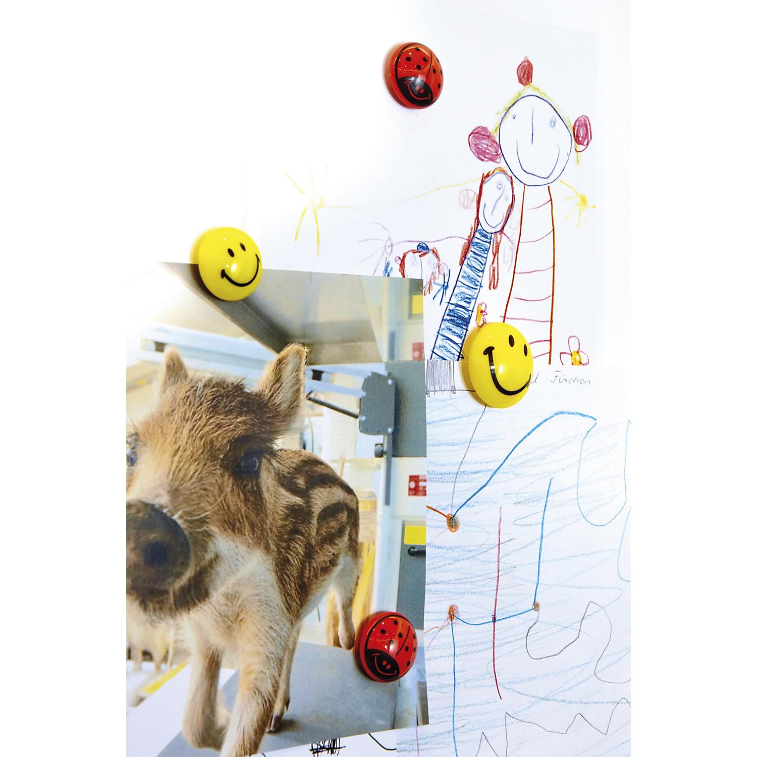 magnetoplan | Calamita rotonda | smile | Ø 20 mm | conf da 160 pz