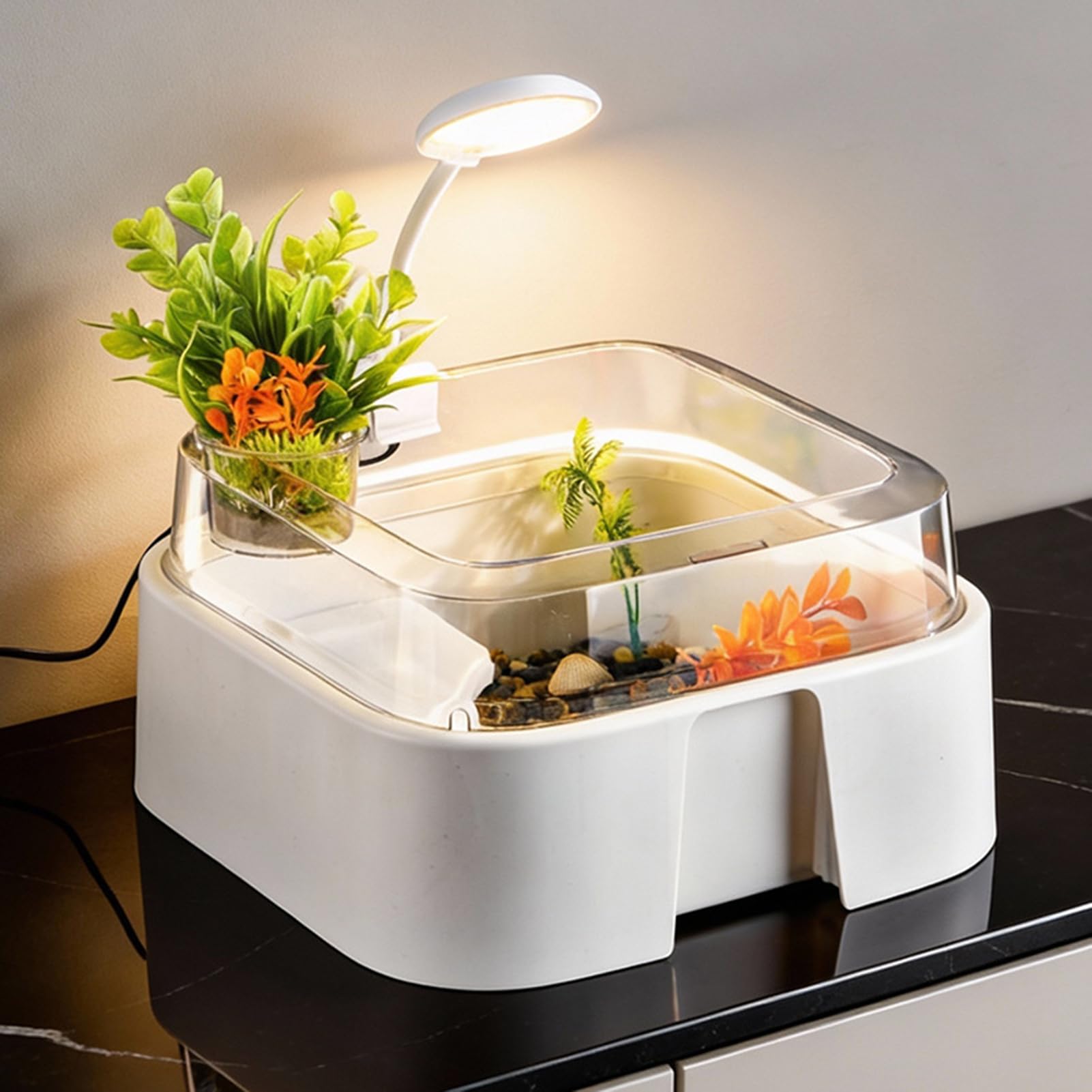 Terrarium Dla Żółwi Terrarium Dla Gadów Z Akcesoriami | Zestaw Akwarium Gadów Oraz Żółwi Lądowych dla Krabów Palmaowych Żółwi Agam Brodatych Węży i Pająków do Domu i Biura
