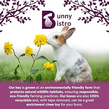 Bunny Bistro Premium Timothy Hay 1st Cut with Flowers 1kg | Natural UK Grown Hay for Rabbits, Guinea Pigs & Small Pets, High in Fibre, Dental Care, Dust Extracted, Grown in Yorkshire | Natural UK Grown Hay for Rabbits, Guinea Pigs & Small Pets, High in Fibre, Dental Care, Dust Extracted, Grown in Yorkshire