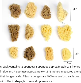 12Pack Natural Sea Sponges for Painting100% Natural & Kid-Friendly|Acrylic Watercolor, Marbling, Texturing, Pottery, Ceramics