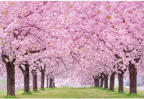 Miniatura 6 de Telón de fondo de flores de cerezo para fotografía, 10 x 7 pies, paisaje de primavera, flor de cerezo, boda, despedida de soltera, decoración de