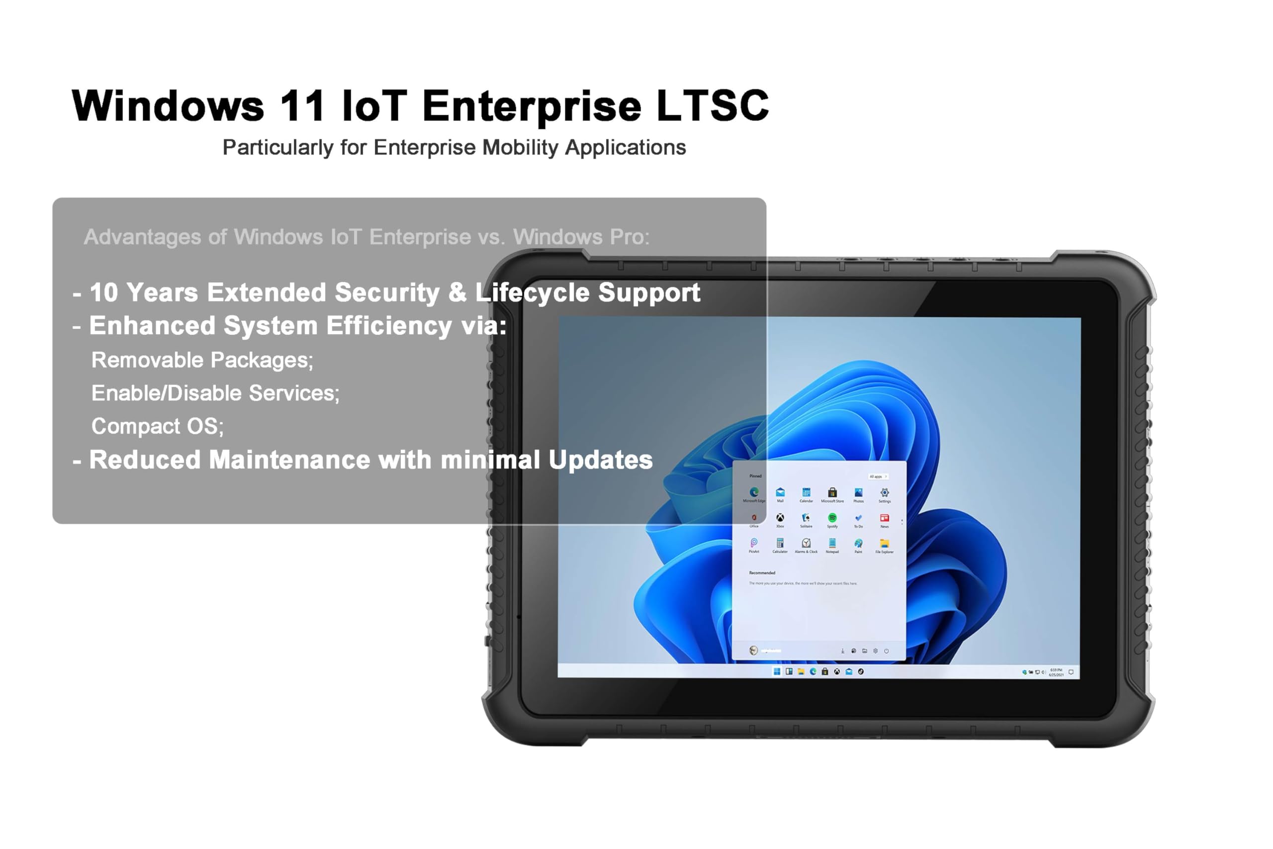 Amazon.com : Vanquisher 10-inch Rugged Tablet PC, Windows 11