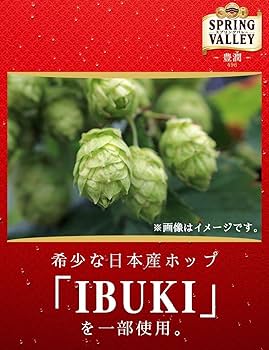 Amazon.co.jp: 本麒麟 [クラフトビール] キリン SPRING VALLEY