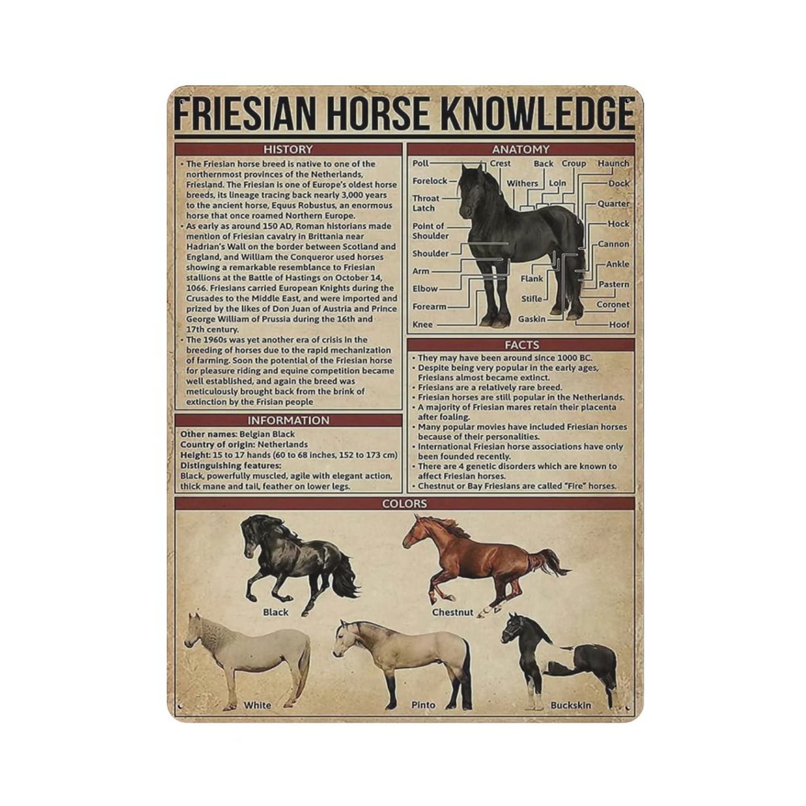 AOOEDM Friesian Horse Knowledge Vintage Tin Sign Metal Tin Signs for Man Cave Funny Art Wall Plaque Kitchen Bar Pub Coffee Shop Wall Decor