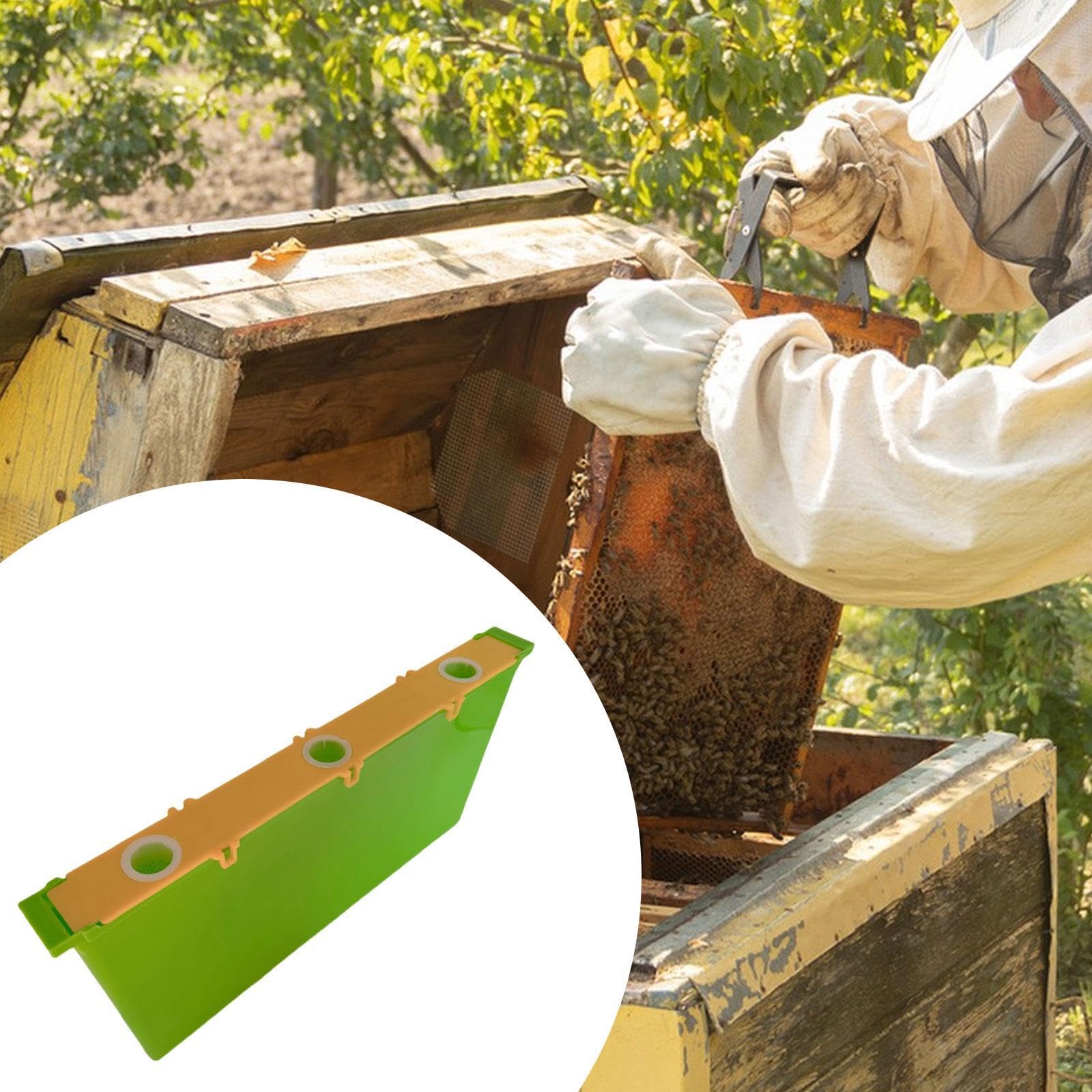 F Fityle de alimentación para Colmena de Abejas de 4 l, Herramientas, jardín, Profundo, alimentador de Agua, dispensador de Agua para, 3 Hoyos