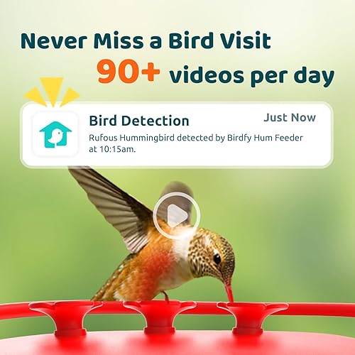 Miniatura 3 de NETVUE Birdfy - Comedero para colibríes con cámara, cámaras inteligentes duales 2K, observación de aves en primer plano, IA gratuita para