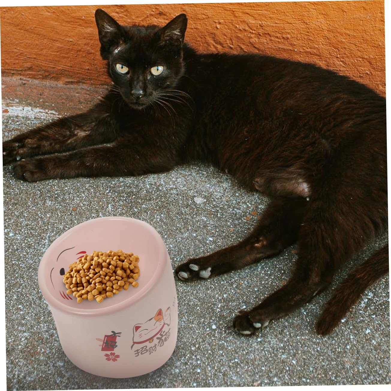 Ceramic Raised Cat Bowl Anti-Spill Pink Pet Feeding Dish Elevated Kitten Water Bowl for Indoor Cats