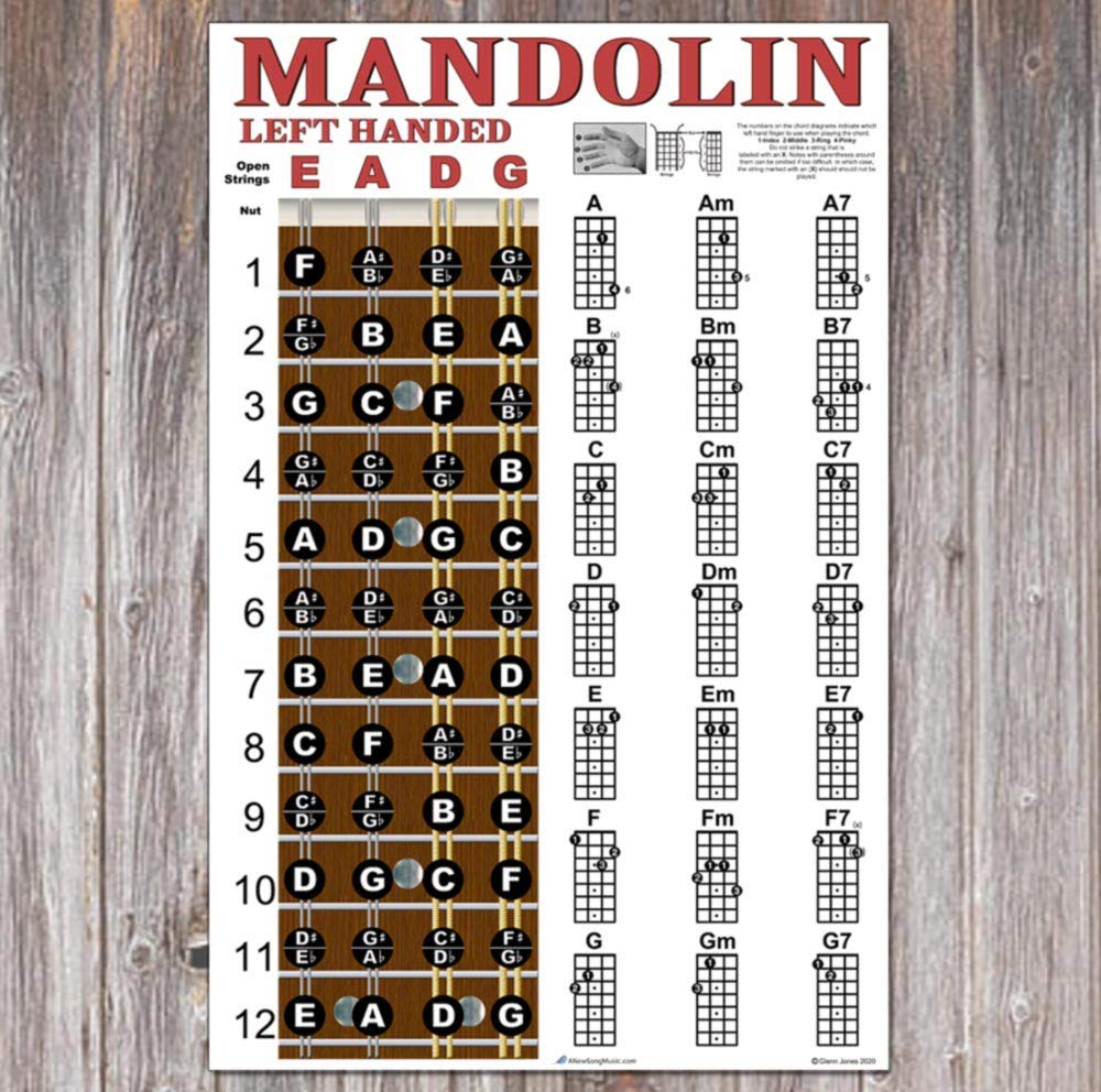 Left Handed Mandolin Chord &amp; Fretboard Note Chart Instructional Easy Poster for Beginners Chords ...