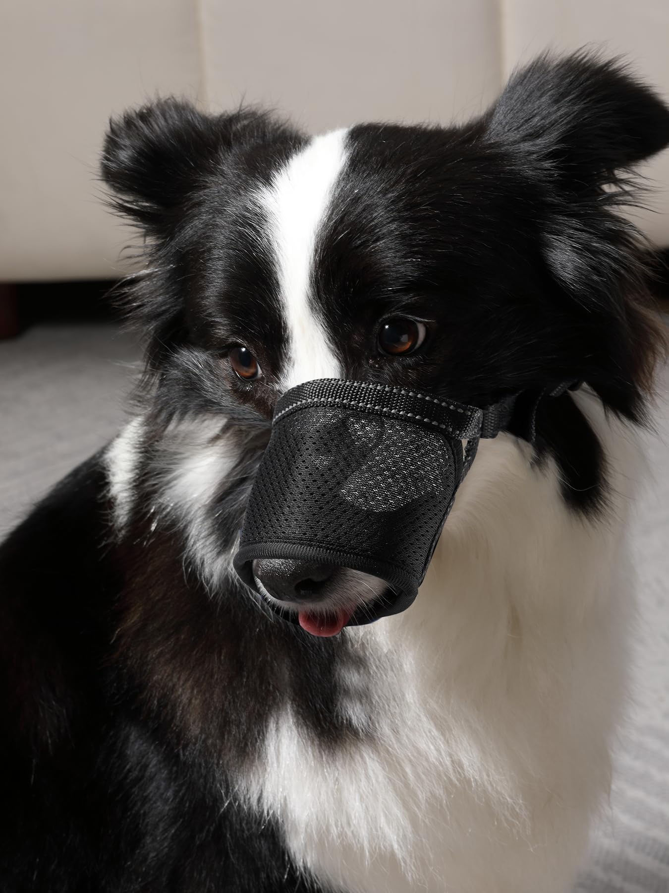 Dog Muzzle Cover for Large Dogs, Adjustable Nylon Muzzle with Soft Padding, Breathable Mesh, and Hook & Loop Straps for Comfort and Safety, Black, XL