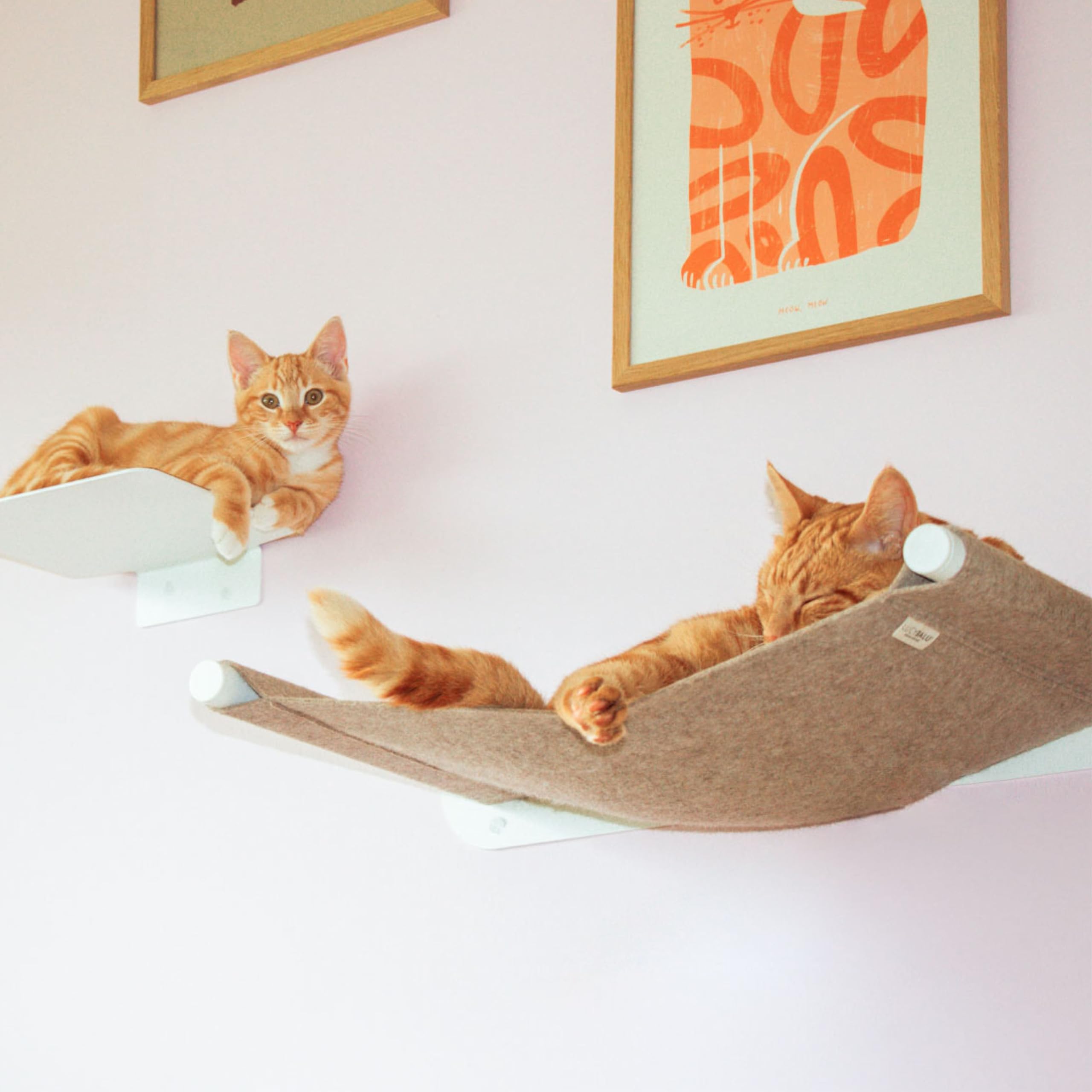 LucyBalu® Swing Hamac Mural pour Chat en Feutre Naturel I Blanc