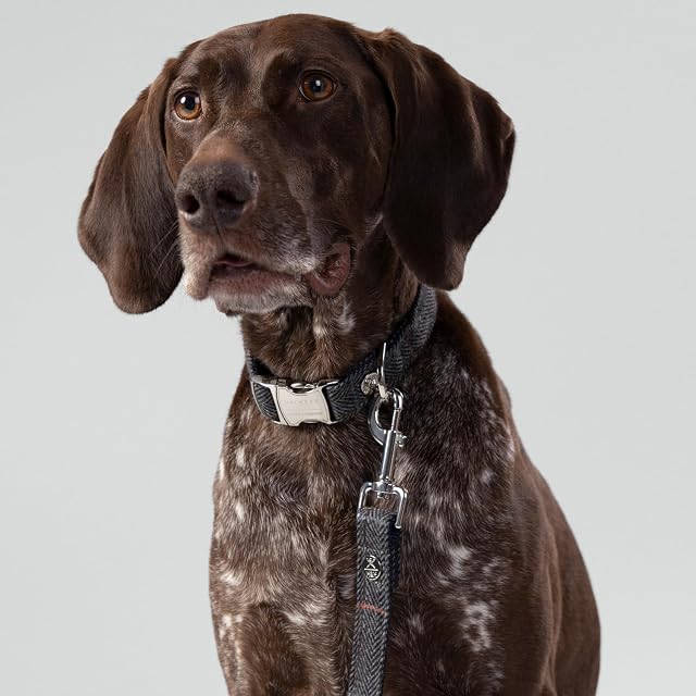 Foto 2 de 7 de HUGO & HUDSON x Hackett Correa para Perros de Tweed con asa Acolchada Suave, diseño de Espiga a Cuadros Grises